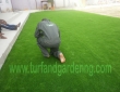 Play Academy Schools - Trans Amadi Gardens - Completed view 2